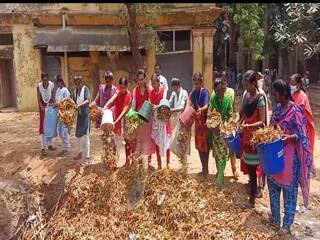 3 ஆயிரம் மாணவிகள் இணைந்து தூய்மைப் பணி ; பசுமை வளாகமாக மாற்ற அரசு கல்லூரி மாணவிகள் முயற்சி