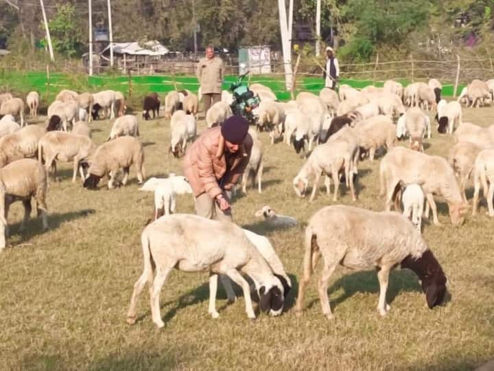 7 दिसंबर 2022 को वृंदा चित्रकूट में आईपीएस का पद मिला था.