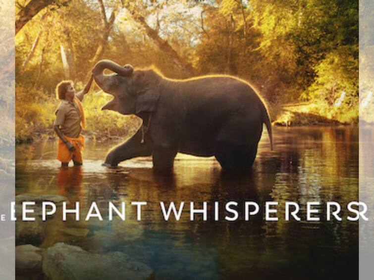 Oscar 2023: The Elephant Whisperers Where to Watch the movie Online The Elephant Whisperers: অস্কারের মঞ্চে সেরা 'দ্য এলিফ্যান্ট হুইস্পারার্স', অনলাইনে কোথায় দেখবেন এই ছবি?