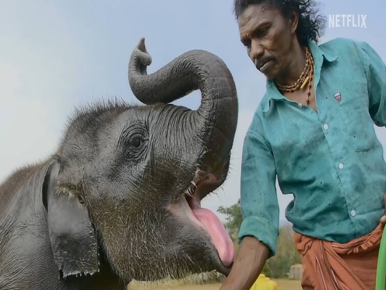 Oscars 2023 The Elephant Whisperers Best Documentary Short Film PM Modi Congratulates Oscars The Elephant Whisperers: 'ધ એલિફન્ટ વ્હીસ્પરર્સ'ને એવોર્ડ જીતવા બદલ PM મોદીએ પાઠવ્યા અભિનંદન
