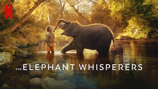 Oscar Awards 2023: बधाई हो! The Elephant Whisperers ने जीता ऑस्कर, गुनीत मोंगा की डॉक्यूमेंट्री ने बजाया भारत का डंका