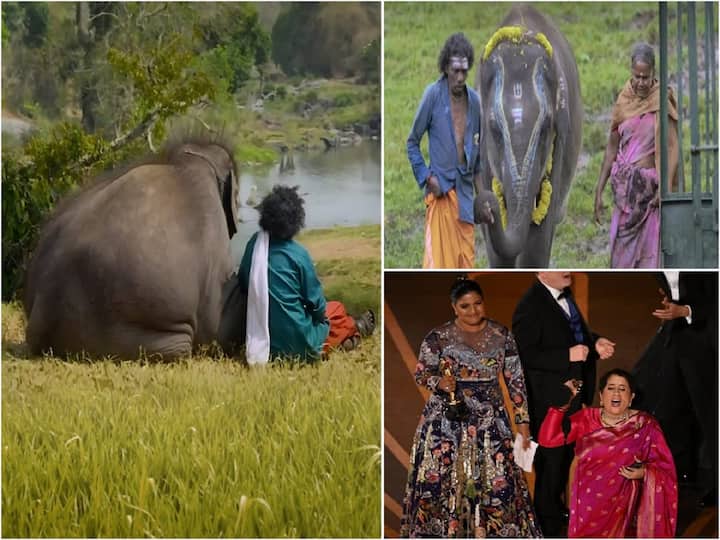 The Elephant Whisperers, a Netflix short documentary directed by Kartiki Gonsalves and produced by Guneet Monga, won an Oscar for Documentary Short Subject.