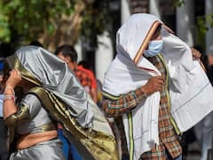 At 34.1 Degrees Celsius, Delhi Recorded Hottest Day Of Season On Sunday. In Pics