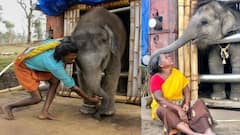 যাঁদের জীবনের গল্প এনে দিল অস্কার... 'দ্য এলিফ্যান্ট হুইস্পারার্স'-এর দম্পতির অজানা কথা