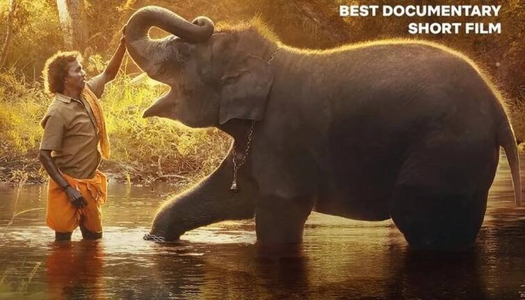 The Elephant Whisperers won the Best Documentary Award, the film's story The Elephant Whisperersને મળ્યો બેસ્ટ ડોક્યુમેન્ટરીનો એવોર્ડ, જાણો આખરે શું છે ફિલ્મની સ્ટોરી
