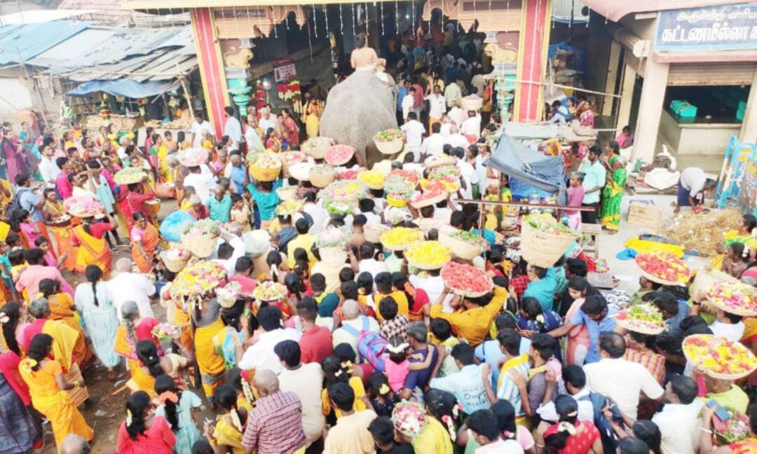 The Samayapuram Mariamman temple flower sprinkling ceremony started with a bang TNN சமயபுரம் மாரியம்மன் கோவில் பூச்சொரிதல் விழா - குவிந்த பக்தர்கள்