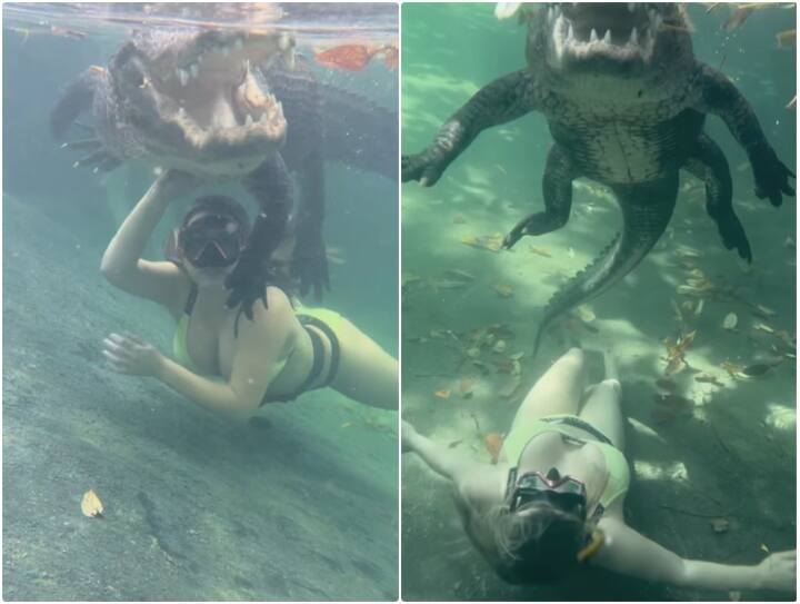 Woman seen swimming with crocodile underwater in viral video Video: एक तरफ मगरमच्छ तैर रहा था और दूसरी तरफ लड़की... ऐसा सीन आपने पहले कभी शायद ही देखा होगा?