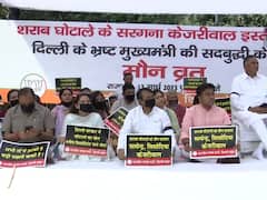 Delhi BJP Observes 'Maun Vrat' Demanding 'Corrupt' CM Arvind Kejriwal's Resignation — IN PICS