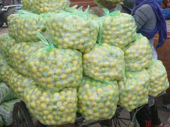 Lemon Price Hike in Delhi-NCR Summer Season Know Nimbu Price Today Lemon Price in Delhi: दिल्ली में नींबू ने निचोड़ दिया किचन का बजट, गर्मी शुरू होते ही बढ़े दाम, 10 रुपये में कितने?