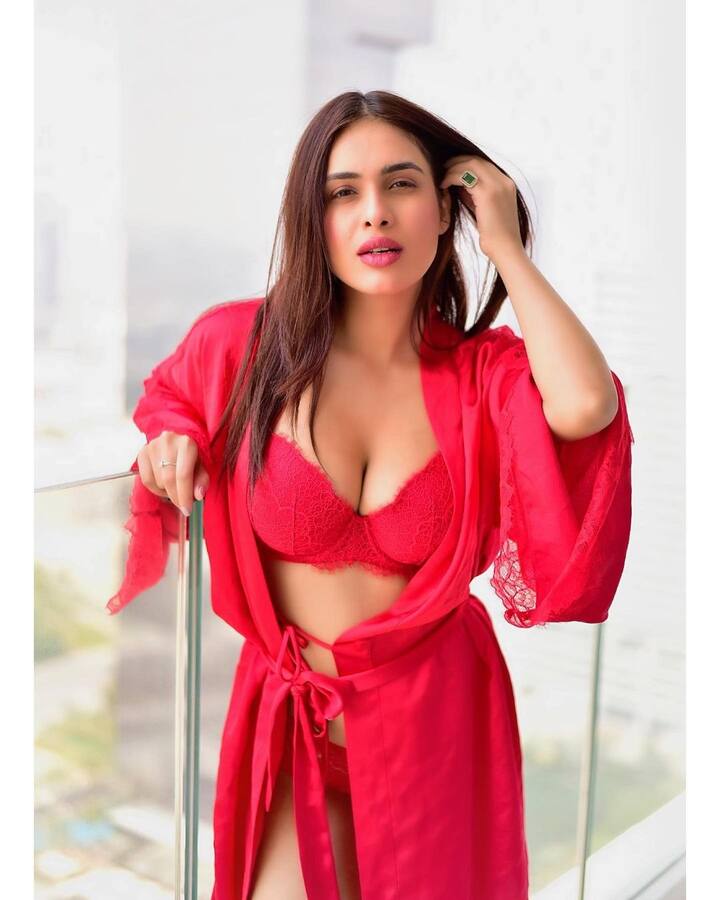 नेहा मलिकचं शिक्षणही मुंबईतच झालं आहे. तिने 2012 साली मॉडेलिंग करण्यास सुरुवात केली.