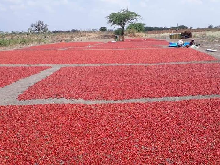 Thoothukudi: அரசு வழங்கும் மானிய இடு பொருட்களின் விலை கூடுதல் - புலம்பும் விவசாயிகள்