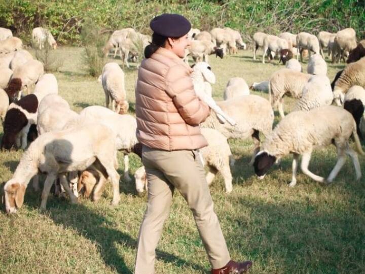 हरियाणा के पंचकुला में रहने वाली आईपीएस वृंदा शुक्ला ने लंदन के स्कूल ऑफ इकोनॉमिक्स एंड सोशल साइंस से पढ़ाई की है.