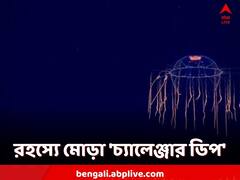 গোটা এভারেস্ট ডুবে যাবে, এত গভীর! রহস্যে মোড়া 'চ্যালেঞ্জার ডিপ'