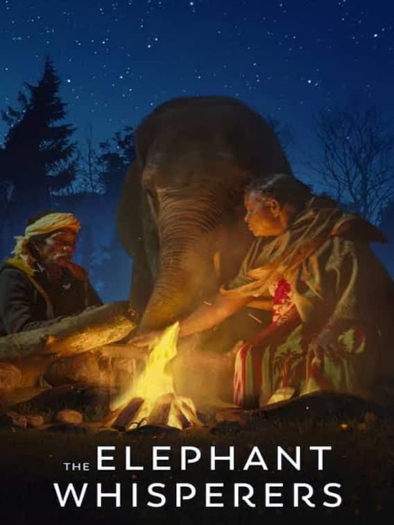 Oscars 2023: Know All About The Elephant Whisperers