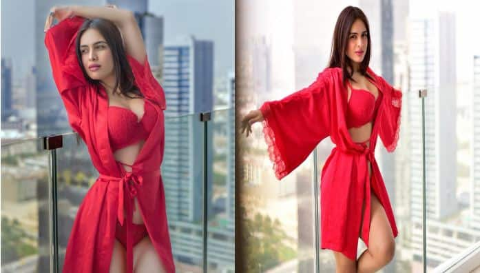 Neha Malik Pics: ਨੇਹਾ ਮਲਿਕ ਹਮੇਸ਼ਾ ਹੀ ਆਪਣੀ ਬੋਲਡਨੈੱਸ ਕਾਰਨ ਸੋਸ਼ਲ ਮੀਡੀਆ 'ਤੇ ਸੁਰਖੀਆਂ ਬਟੋਰਦੀ ਰਹਿੰਦੀ ਹੈ। ਹਾਲ ਹੀ 'ਚ ਨੇਹਾ ਮਲਿਕ ਨੇ ਆਪਣੇ ਬੋਲਡ ਲੁੱਕ ਨਾਲ ਇੰਟਰਨੈੱਟ 'ਤੇ ਧਮਾਲ ਮਚਾ ਦਿੱਤੀ ਹੈ। ਦੇਖੋ ਇਹ ਹੌਟ ਅੰਦਾਜ਼...