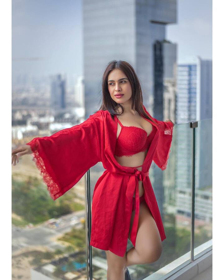 भोजपुरी अभिनेत्री नेहा मलिकचा नेहमीच स्टायलिश आणि बोल्ड अंदाज पाहायला मिळतो. नेहा मलिकने स्टनिंग अंदाजातील फोटो इंस्टाग्रामवर शेअर केले आहेत.