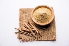 Best Herbs For Immunity: हमारे आसपास मंडरा रहे हैं वायरस, ऐसे में ये पांच जड़ी बूटियां बढ़ाएंगी  आपकी इम्यूनिटी, रूटीन में करें शामिल