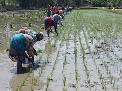 இந்த பட்ஜெட்டில் விவசாயிகள் எதிர்பார்க்கும் அறிவிப்புகள் என்னென்ன..? - தமிழக அரசுக்கு கோரிக்கை