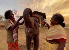 The Elephant Whisperers: বন্যপ্রাণীর ভয় পেতেন, 'দ্য এলিফ্যান্ট হুইস্পারার্স'-এর সেই বেইলির প্রেম, বিয়ে সবই হল হাতির সূত্র ধরেই