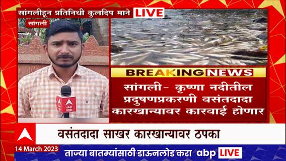 Sangli : कृष्णेतील प्रदूषणप्रकरणी वसंतदादा साखर कारखान्यावर कारवाई, कारखाना बंद ठेवण्याचे आदेश