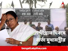 'বাংলার ইতিহাসে ১৪ মার্চ কালা দিবস' নন্দীগ্রাম দিবসে বার্তা মুখ্যমন্ত্রীর