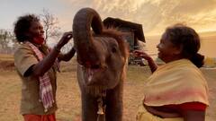 The Elephant Whisperers: বন্যপ্রাণীর ভয় পেতেন, 'দ্য এলিফ্যান্ট হুইস্পারার্স'-এর সেই বেইলির প্রেম, বিয়ে সবই হল হাতির সূত্র ধরেই