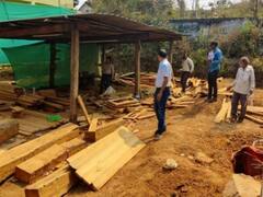 In Pics: बस्तर के जंगलों में है 'पुष्पा का राज', हर साल करोड़ों की बेशकीमती लकड़ियां पार कर रहे तस्कर