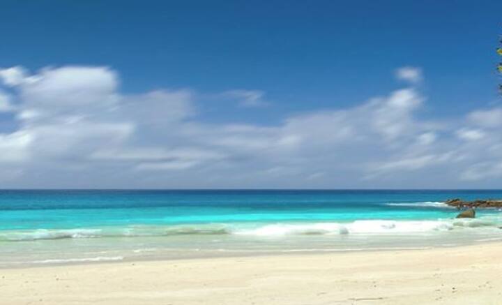 সমতল জমি থেকে বালিতে নেমে মানুষের চলনভঙ্গিও পাল্টে যায়। বিলি, কাদা অথবা বরফের উপর দিয়ে হাঁটার সময় বড় বড় পা ফেলি আমরা। কোমর, হাঁটুও বেশি নড়াচড়া করে। তাতেই শক্তিক্ষয় হয় বেশি।