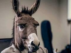 इंटर्न है बिल्ली तो HR है बंदर... आर्टिस्ट ने क्रिएटिव तरीके से बताया- किस जानवर की तरह होते हैं कंपनी के कर्मचारी