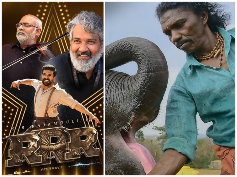 Rajya Sabha Lauds 'Naatu Naatu' And 'The Elephant Whisperers' For Their Oscar Wins Rajya Sabha Lauds 'Naatu Naatu' And 'The Elephant Whisperers' For Their Oscar Wins