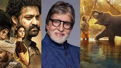 'এই জয় দেশ ও দশের' ট্য়ুইটারে উচ্ছ্বসিত পোস্ট বিগবি'র