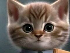 इंटर्न है बिल्ली तो HR है बंदर... आर्टिस्ट ने क्रिएटिव तरीके से बताया- किस जानवर की तरह होते हैं कंपनी के कर्मचारी