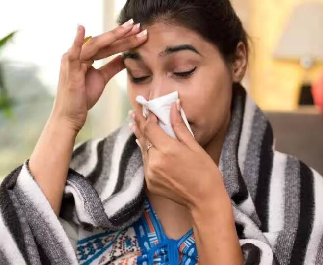 Gujarat reports first death from h3n2 influenza virus 7th in india H3N2 ਇਨਫਲੂਏਂਜ਼ਾ ਵਾਇਰਸ ਨੂੰ ਹਲਕੇ 'ਚ ਨਾ ਲਓ, ਗੁਜਰਾਤ 'ਚ ਪਹਿਲੀ ਮੌਤ, ਦੇਸ਼ 'ਚ ਹੁਣ ਤੱਕ 7 ਲੋਕਾਂ ਦੀ ਮੌਤ