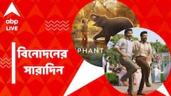 'নাটু নাটু' আর 'দ্য এলিফ্যান্ট হুইস্পারার্স'-এর হাত ধরে জোড়া অস্কার এল ভারতে, বিনোদনের সারাদিন