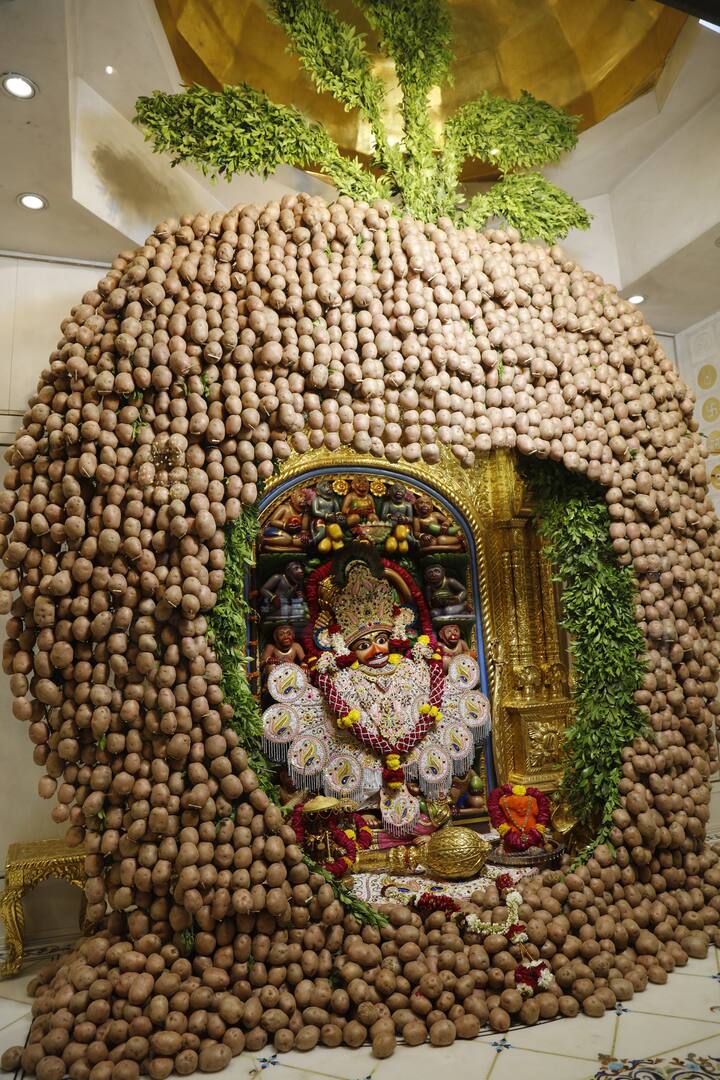 વડતાલધામ દ્વિશતાબ્દી મહોત્સવ એવં શતામૃત મહોત્સવ સાળંગપુરધામ ઉપલક્ષમાં સ્વામિનારાયણ મંદિર વડતાલધામ સંચાલિત સુપ્રસિદ્ધ યાત્રાધામ સાળંગપુરધામમાં  કષ્ટભંજનદેવ હનુમાનજી મંદિર ખાતે દાદને 500 કિલો લાલ બટાકાનો શણગાર કરવામાં આવ્યો હતો.