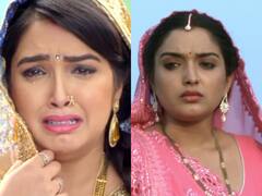 Aamrapali Dubey Emotional: बारिश में भीगते हुए किसके लिए रोती थीं आम्रपाली दुबे, एक्ट्रेस ने सुनाया टूटे दिल का इमोशनल किस्सा