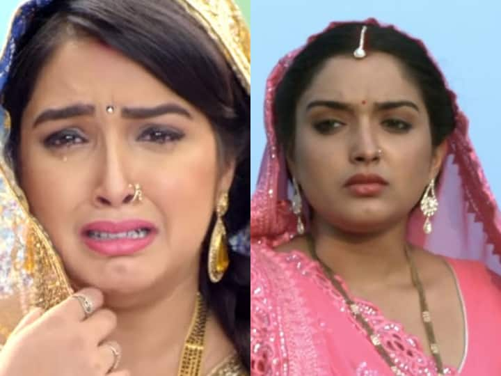 Bhojpuri News: साल 2013 से भोजपुरी सिनेमा में अपने खुशमिजाज अंदाज से दिल जीतने वाली आम्रपाली दुबे आज किसी परिचय की मोहताज नहीं.