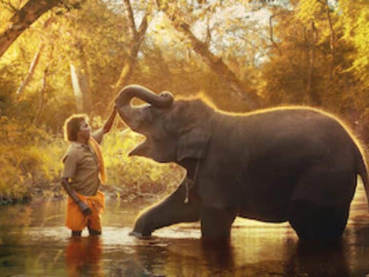 ऑस्कर विनिंग फिल्म 'The Elephant Whisperers' की इस खूबसूरत जगह पर हुई थी शूटिंग, घूमने के लिए बेस्ट है ये लोकेशन