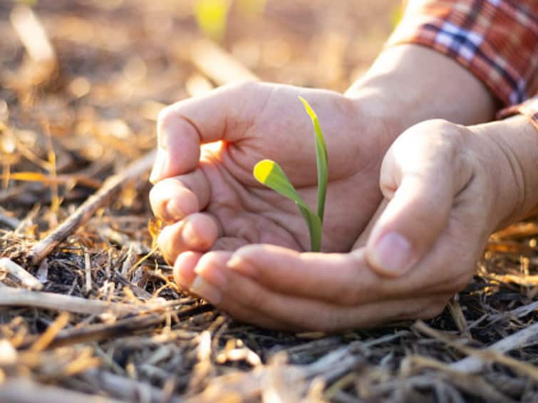 How Technology Is Disrupting The Insurance Segment In Agriculture Sector. Read Here How Technology Is Disrupting The Insurance Segment In Agriculture Sector. Read Here