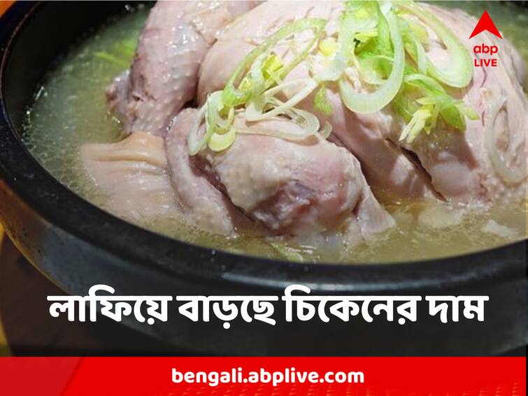 West Bengal Chicken Price to be increased once again says sellers due to less supply Chicken Price Increased : চিন্তা বাড়িয়ে ফের বাড়ছে মুরগির মাংসের দাম