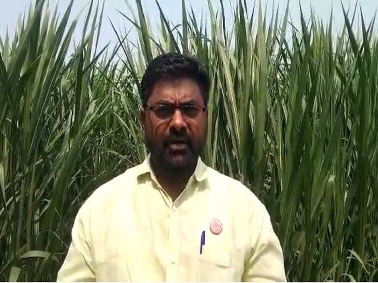 Agriculture News : There is no CIBIL requirement for farmers for agricultural loans, RBI’s disclosure; Information from Bhanudas Shinde