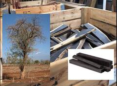 African Blackwood : 'हे' आहे जगातील सर्वात महागडं लाकूड, एक किलोची किंमत आलिशान कारएवढी