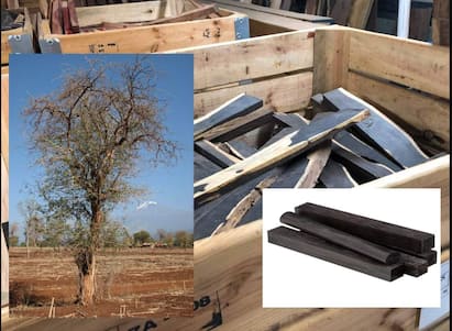 Most Expensive Wood : चंदन नाही हे आहे जगातील सर्वात महागडं लाकूड, एक किलोची किंमत आलिशान कारएवढी