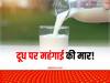 Milk Price Hike: महंगे दूध ने बढ़ाई हर घर की आफत! 14 महीने में दोगुनी से ज्यादा बढ़ी दूध की महंगाई दर