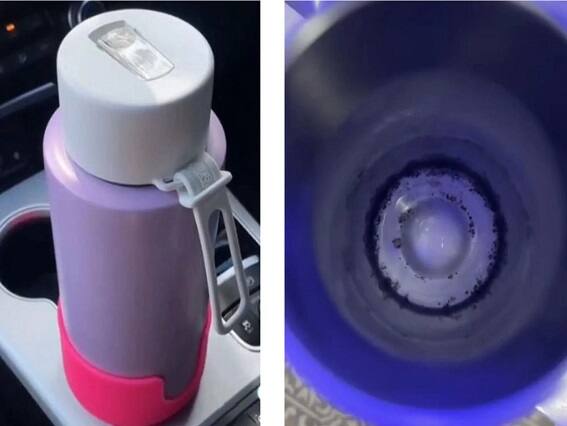 Reusable Water Bottles Hold 40,000 Times More Bacteria Than A Toilet Seat: Study Water Bottle Side Effects: ટોઇલેટ સીટ કરતાં પણ વધુ ગંદી હોય છે તમારી પાણીની બોટલ! વાંચો આ અભ્યાસનું તારણ  