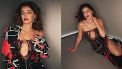 Ananya Pandey: ਅਨਨਿਆ ਪਾਂਡੇ ਨੇ ਫਰੰਟ ਕੱਟ ਆਊਟਫਿਟ 'ਚ ਕਰਵਾਇਆ ਬੋਲਡ ਫੋਟੋਸ਼ੂਟ, ਆਪਣੀ ਹੌਟਨੈੱਸ ਨਾਲ ਇੰਟਰਨੈੱਟ 'ਤੇ ਮਚਿਆ ਹੰਗਾਮਾ