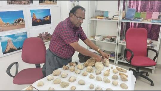 THIRUVARUR Fossils of marine life found in Ariyalur study TNN அரியலூர் ஆய்வில் கிடைத்த கடல் வாழ் உயிரினங்களின் தொல் புதை படிவங்கள்