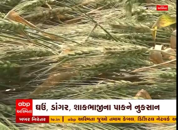 Surat: સુરતમાં માવઠાના કારણે ખેડુતોના ઘણા બધા પાકોને નુકસાન
