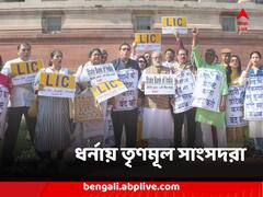 সংসদে বিজেপি-বিরোধিতায় একলা চলো নীতি, সংসদ ভবন চত্বরে ধর্নায় তৃণমূল সাংসদরা
