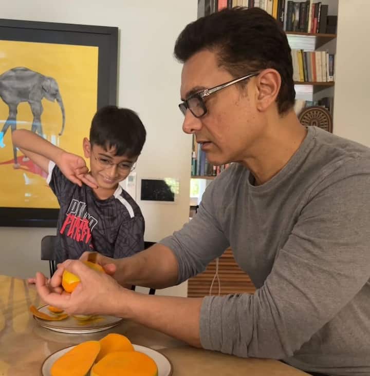 आमिर खान के घर में दीवारों पर काफी एंटीक पेंटिंग्स लगाई गई हैं. घर में बुक शेल्फ ही है जिसमें कई नॉवेल्स और किताबें नजर आ जाएंगी.